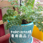 tmkr-mtm様専用商品です！