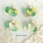 flower8