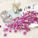 かすみ草ドライフラワー