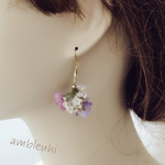○　フリル　ピアス （マルチ）