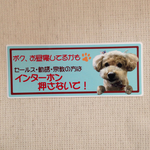 お昼寝してるかもステッカー 1匹用