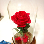 美女と野獣 魔法の薔薇 ガラスドーム