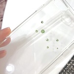 本物スワロが美しいiPhone7専用カバー・限定1コ！
