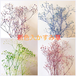 今季新色入♡ソフトカスミソウグラデーション