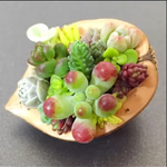 hal-cyondays様 御予約品