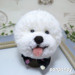 ビションフリーゼぽんぽん ブローチ(黒水玉リボン)