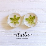 ブプレウルムのピアス【ピアス・イヤリング】/プチプラ/レジン/ノンホールピアス/かわいい/人気/浴衣/春/夏/押し花/花/フラワー