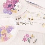 ★ゼリー様★専用ページ