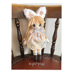  chaton blanc  2