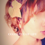 * 落ち葉の ぱっちんどめ*(送料込み)