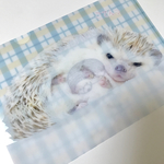 ハリネズミのぶんた A5クリアファイル