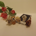 わんこのイヤホンジャック