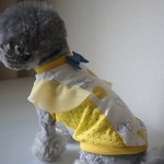 　フリルタンクトップ【完成品】　Sサイズ