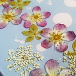 iphone 5ケース　アトリエに咲く花