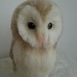 ★送料込み★羊毛フェルト製メンフクロウ