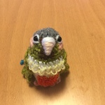 お胸が可愛い♡ウロコインコちゃん・シナモン（中型インコ）