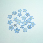 再販 忘れな草 押し花バージョン 20ヶ