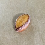樹脂粘土のクッペマグネット
