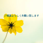 ringuitar様 専用ページ