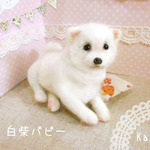 柴犬　白柴　パピー　あかちゃん　羊毛フェルト　ぽてぽて