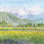 水彩画原画　アルプスと菜の花