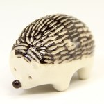 ミニ　ハリネズミ　ジュウサンロー