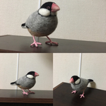 文鳥 オーダー品