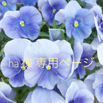 ha 様 専用ページ