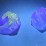 ほたるあかりの石　20ｇ　現品　No1