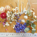 ドライフラワー 貝細工 雪柳 ユーカリ花かんざし 花びら キャンドル レジン 材料
