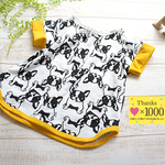 【100】フレンチブル柄にワイドボーダーのドロップＴシャツ