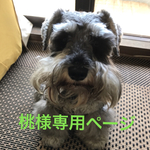 桃様専用ページ