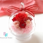 ☆Mignonミニョン赤プリザ花プリザーブドフラワー薔薇ガラスドーム母の日ブリザードフラワー結婚祝いレッド敬老の日プレゼント誕生日結婚祝いギフト退職祝いセール激安SALE 母の日のおくりもの特集