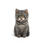 コルクのキジトラ猫