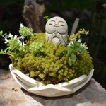 白い蓮子鉢の花畑お地蔵
