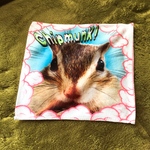 シマリス ミニタオル