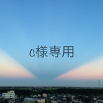 【c様専用】ドリームサンキャッチャー