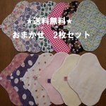 ☆送料無料☆　おまかせ　2枚セット　布ナプキン　ライナー