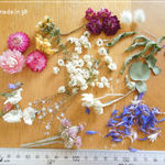 ドライフラワー 貝細工 雪柳 フランネルフラワー 花びら キャンドル レジン 材料