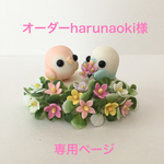 オーダーharunaoki様専用ページ