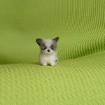 パピヨン ホワイト＆セーブル パピー 羊毛フェルト