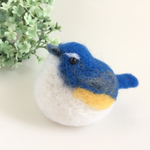 ルリビタキくん