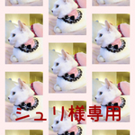 襟首輪