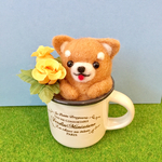 ポット入り柴犬ちゃん♪