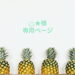  ◡̈⃝★様専用ページです