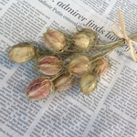 【ドライフラワー】ニゲラ【クラフト素材】