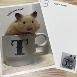 キンクマてぃーだ君のポストカード2枚セット
