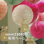 専用ページ