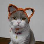 キツネ 