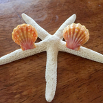 Hawaiian Sunrise Shell Ring